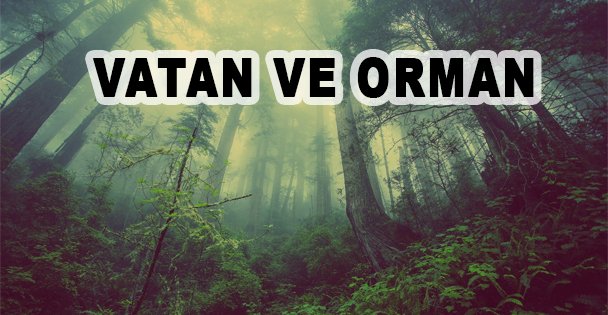 Vatan ve Orman