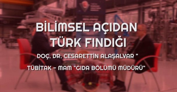 Vatan Yahut Fındık Belgesel Çekimi ve Araştırmalarımıza Devam ediyoruz