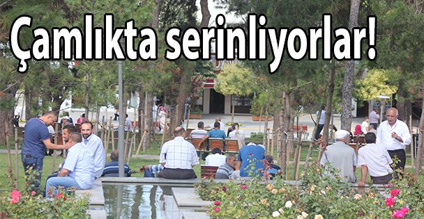 Vatandaş çamlık parkında serinliyor!