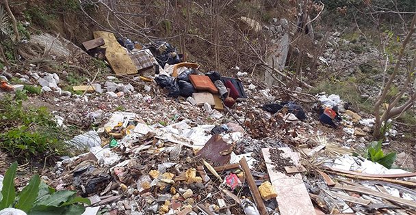 Vatandaş şikayet etti, Belediye temizledi!