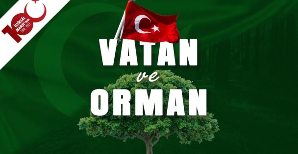 Vatanımızın Temeli Ormanlar