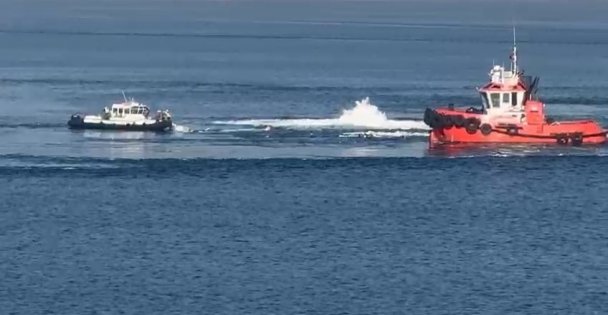 (VİDEOLU)İzmit Körfez'inin Ortasında Can Pazarı: Batan Yüzer Havuzdan Denize Atladılar