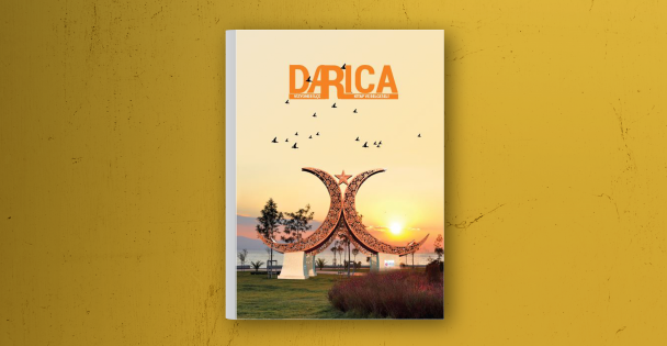 Vizyoner İlçe DARICA