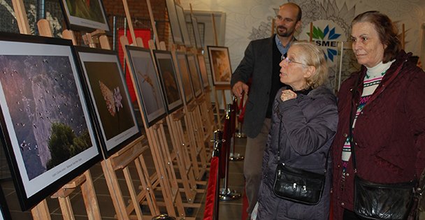 Yaban hayattan fotoğraflar burada