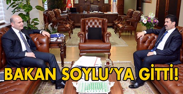 Yaman Bakan Soylu'ya anlattı!