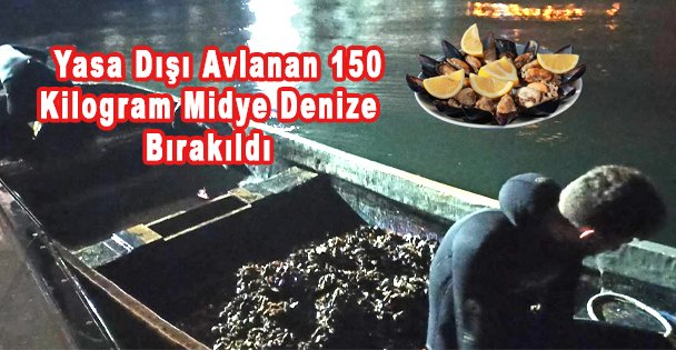 Yasa Dışı Avlanan 150 Kilogram Midye Denize Bırakıldı