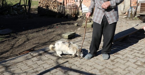 Yaşlı çiftin hayatını değiştiren destek