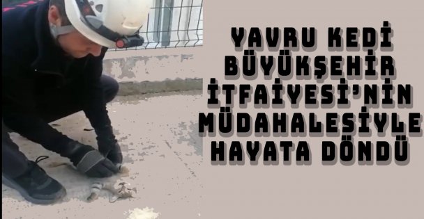 Yavru Kedi Büyükşehir İtfaiyesi'nin Müdahalesiyle Hayata Döndü