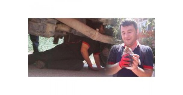 Yavru kedi itfaiyecileri uğraştırdı