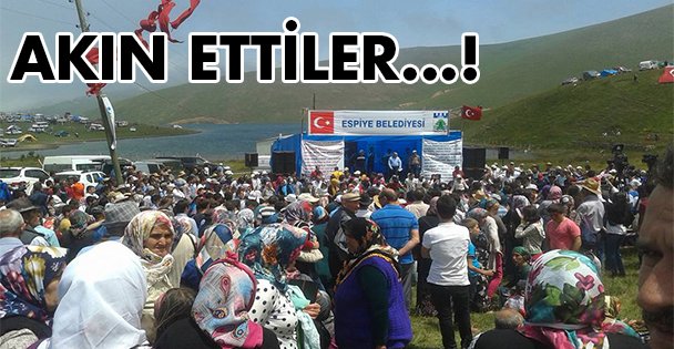 Yaylaya akın ettiler!