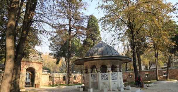 Yeni Cuma Camiinde Tehlike Arz Eden Kurumuş 2 Ağaç Kaldırılacak