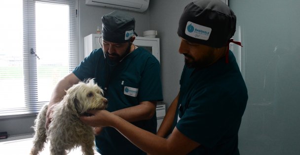 Yeni Proteo'lar Bu Bakım Evinde Yetişecek