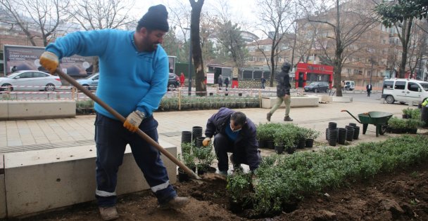 Yeni Yürüyüş Yolu Yazın Lavanta Kokacak