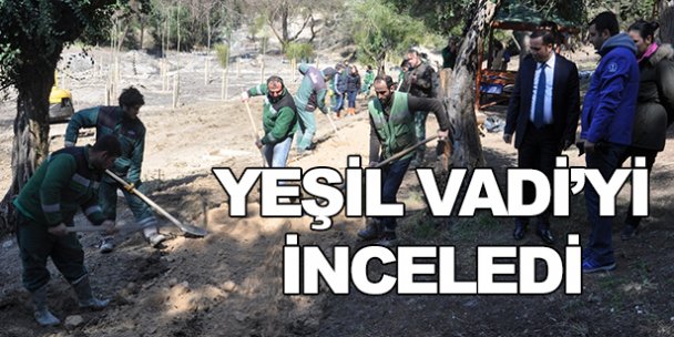 Yeşil vadi çalışmalarını inceledi