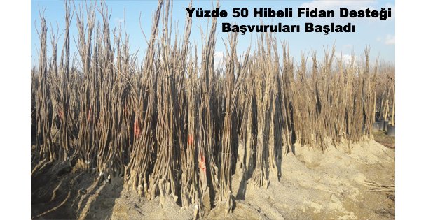 Yüzde 50 Hibeli Fidan Desteği Başvuruları Başladı