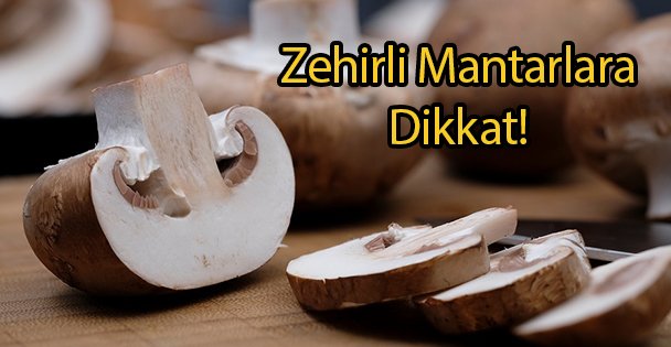 Zehirli Mantarlara Dikkat!